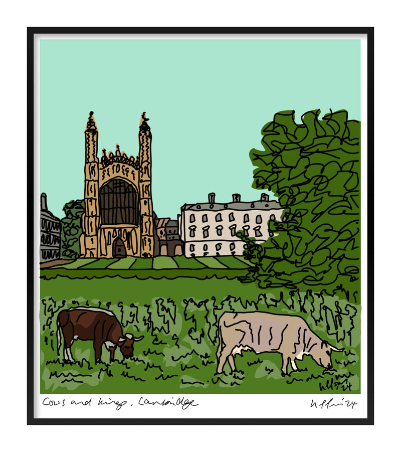 Cows and kings, Cambridge